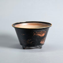 Original Ink-Ground Fish Motif Bonsai Pot