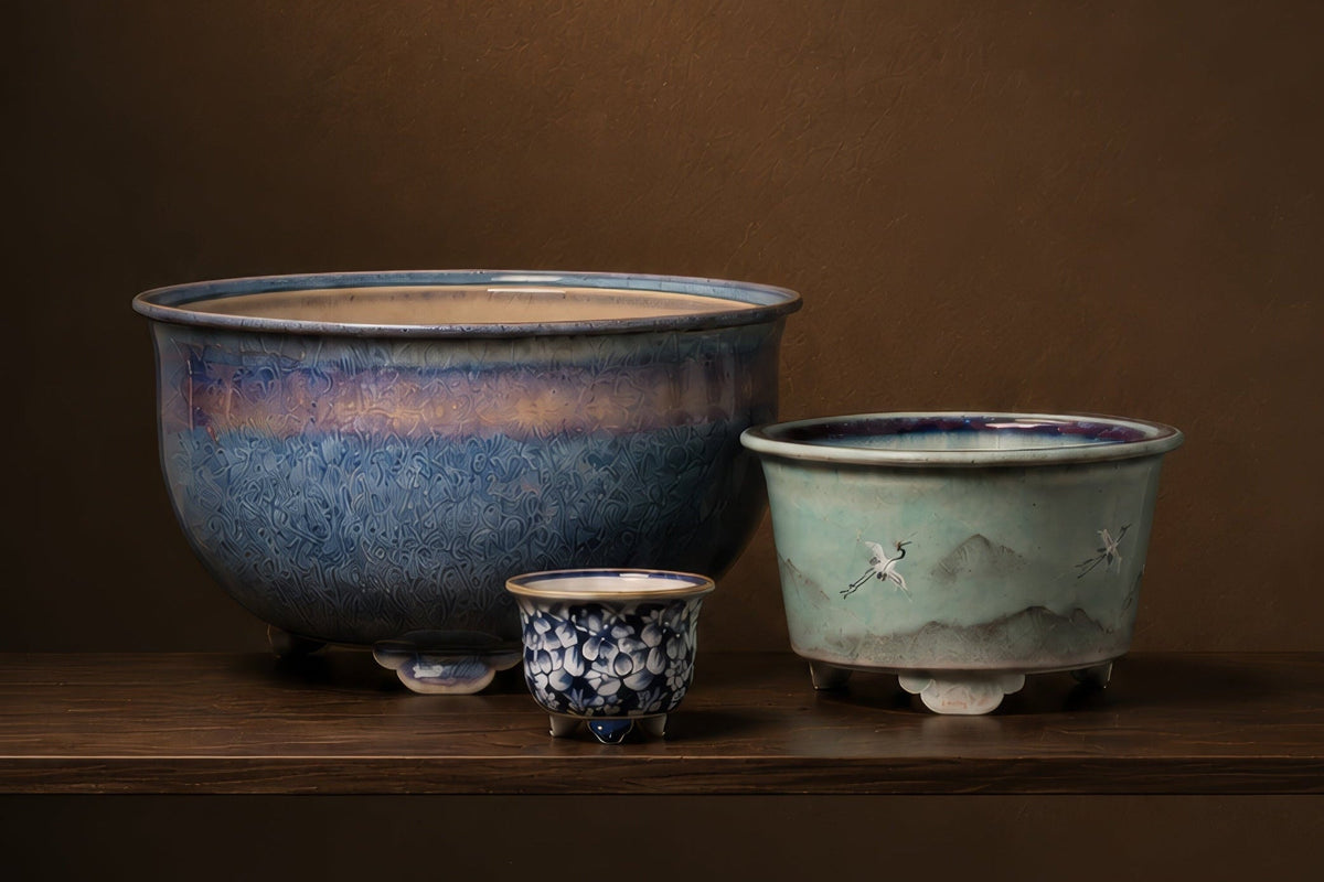 Curated Chinese     
 Bonsai Pots
